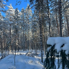 База отдыха Land Breeze, Ленинградская область
