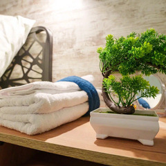 Глэмпинг Вороновское поместье, Московская область