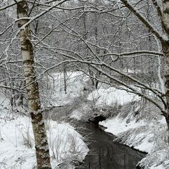 Глэмпинг Вороновское поместье, Московская область