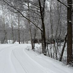 Глэмпинг Вороновское поместье, Московская область