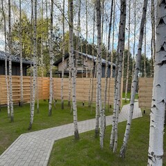 Глэмпинг Вороновское поместье, Московская область