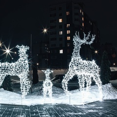 Глэмпинг Глэмпинг-парк Южный берег, Нижегородская область