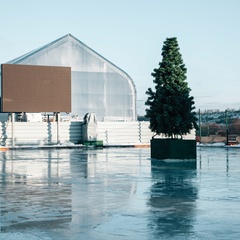 Глэмпинг Глэмпинг-парк Южный берег, Нижегородская область