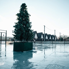 Глэмпинг Глэмпинг-парк Южный берег, Нижегородская область