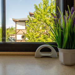 Загородная база отдыха Чайна Таун , Московская область