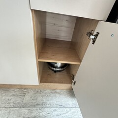 Глэмпинг Горный Ретрит, Республика Алтай