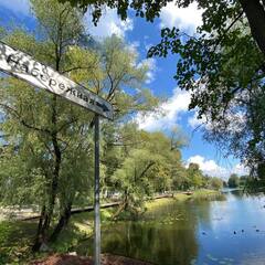 Домик для двоих с мангалом и купелью, Московская область