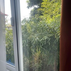 Гостевой дом Аннетте, Краснодарский край