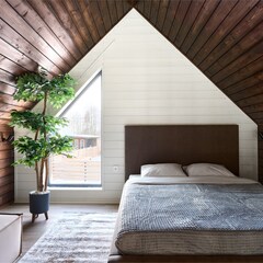 База отдыха Остров Ладоги, Ленинградская область