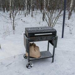 Гостевой дом Дубльдом у леса Васильково, Московская область