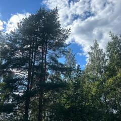 Гостевой дом Волнушка, Республика Карелия