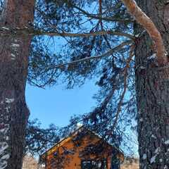 Гостевой дом Волнушка, Республика Карелия