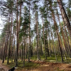 Гостевой дом Волнушка, Республика Карелия