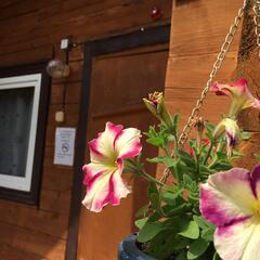 База отдыха Ольхон, Иркутская область