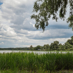 Глэмпинг Берег желаний, Московская область
