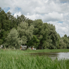 Глэмпинг Берег желаний, Московская область
