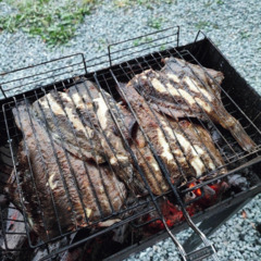 База отдыха Green Island, Приморский край