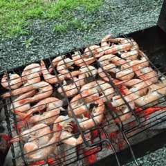 База отдыха Green Island, Приморский край