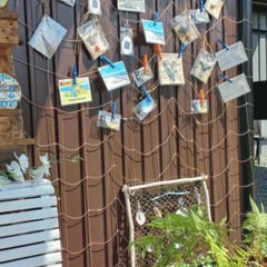 База отдыха Green Island, Приморский край