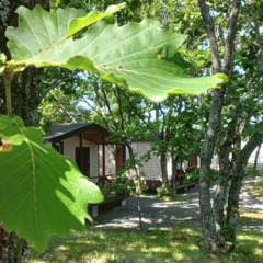 База отдыха Green Island, Приморский край