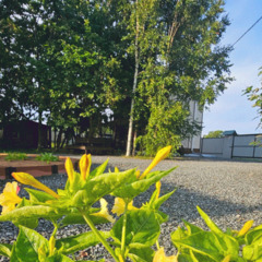 База отдыха Green Island, Приморский край