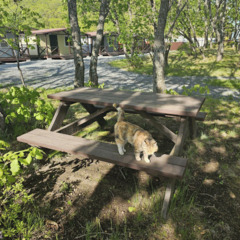 База отдыха Green Island, Приморский край