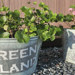 База отдыха Green Island, Приморский край