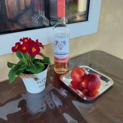 База отдыха Green Island, Приморский край