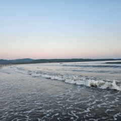 База отдыха Green Island, Приморский край