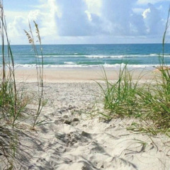 База отдыха Green Island, Приморский край