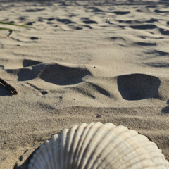 База отдыха Green Island, Приморский край