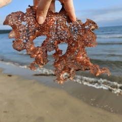 База отдыха Green Island, Приморский край