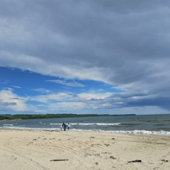 База отдыха Green Island, Приморский край