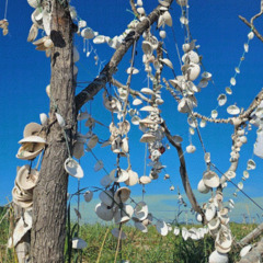 База отдыха Green Island, Приморский край