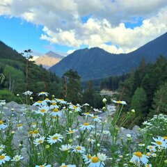 База отдыха Исток, Республика Карачаево-Черкесия 
