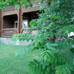 Гостевой дом Феникс в Узнезе, Республика Алтай