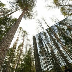 Загородный отель Бухлово парк, Калужская область