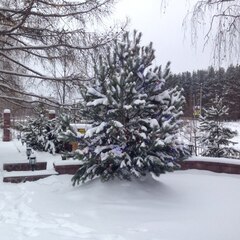 Гостевой дом Горный воздух, Республика Башкортостан