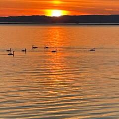 Турбаза Байкальский залив, Республика Бурятия