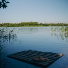 Глэмпинг Торополис, Тверская область