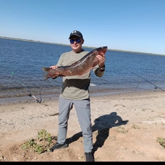 Турбаза Волга, Астраханская область