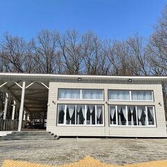 База отдыха Солнечная поляна, Воронежская область