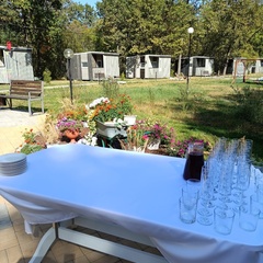 База отдыха Солнечная поляна, Воронежская область