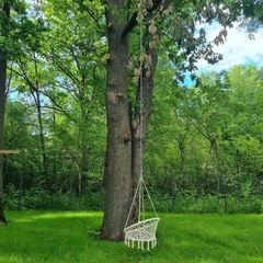 База отдыха Солнечная поляна, Воронежская область