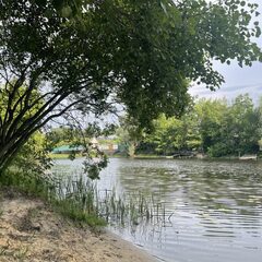 База отдыха Солнечная поляна, Воронежская область