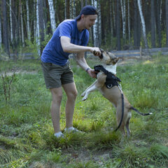 Глэмпинг Побег из города, Республика Башкортостан