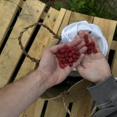 Глэмпинг Мармар, Республика Карелия