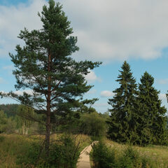 Глэмпинг Мармар, Республика Карелия