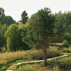 Глэмпинг Мармар, Республика Карелия