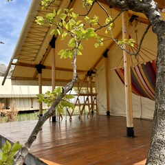 Глэмпинг Сад, Республика Дагестан